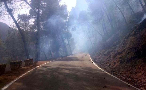 Controlado el incendio forestal en Villanueva del Arzobispo
