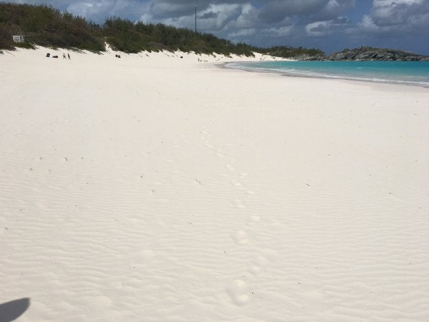 Bermuda, la isla rosa