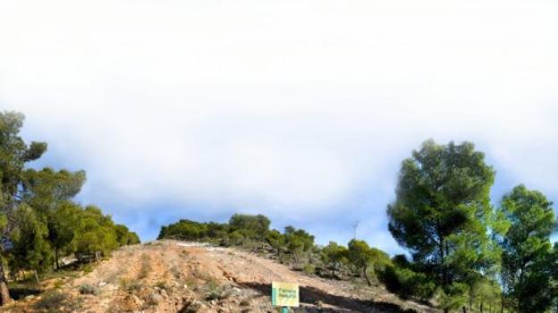 Más de 500 kilómetros de caminos contra el fuego