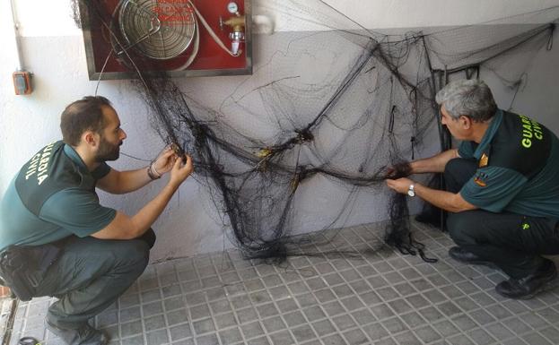 Investigados dos vecinos de Los Villares por cazar aves con artes prohibidas