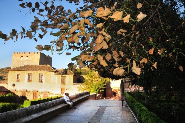 Una plaga amenaza los tilos de la Alhambra y Bibrambla