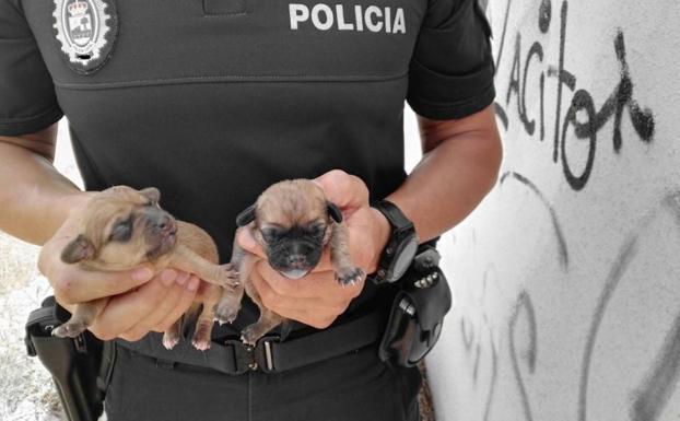 Las diez noticias que debes leer antes de irte a dormir