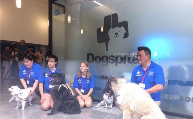 Los perros podrán visitar a sus dueños cuando estén ingresados en el hospital de Ibiza