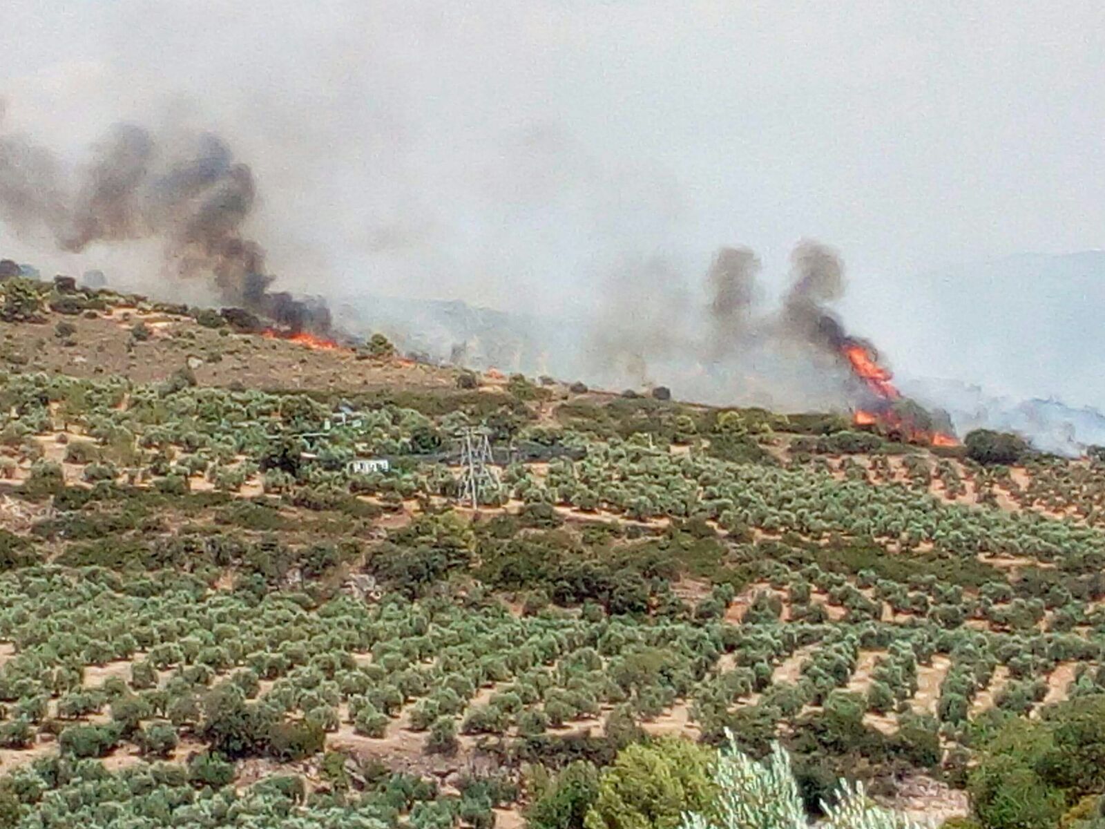 Controlado el incendio en un paraje de Villanueva del Arzobispo