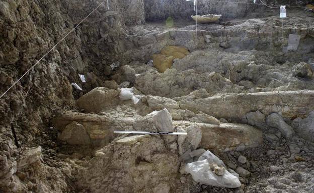 Hallan en Orce los mamuts de Granada de hace 1,5 millones de años