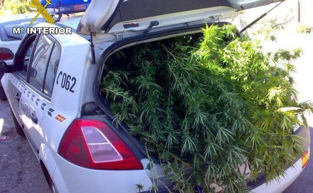 Detenidos dos ancianos en Ciudad Real por traficar con marihuana