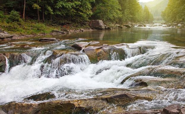 Fallecen nueve personas a causa de la crecida de un río en Arizona