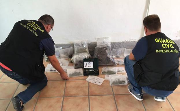 Desmantelan un invernadero de marihuana en La Malahá