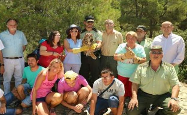 Tres cernícalos y un búho vuelan libres en el Parque Natural Sierra María-Los Vélez