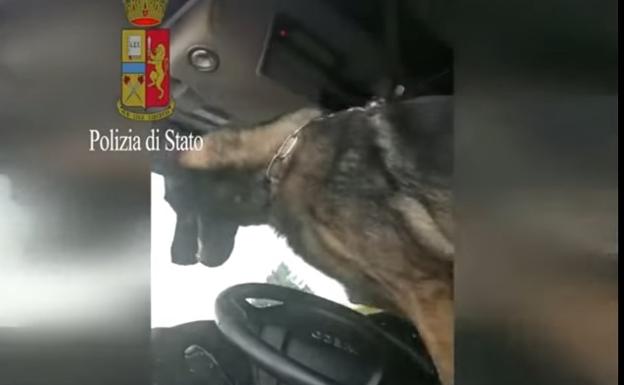 La genialidad de un perro policía tras descubrir un paquete de heroína