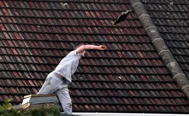 Una negociación de 6 horas termina tras ofrecer al sospechoso una hamburguesa de McDonald's