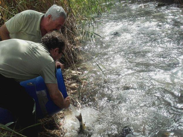 Rescatan a 400 barbos del Guadalbullón