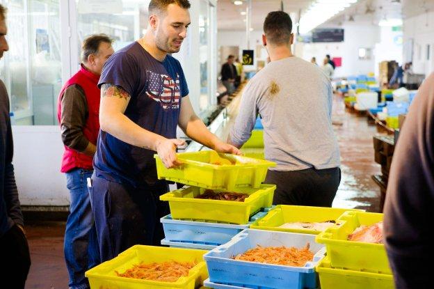 Los pescadores de Motril organizarán una quisquillá popular en pleno centro