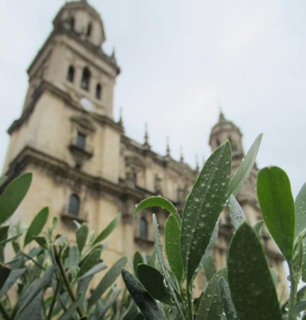 La lluvia da un respiro en agosto