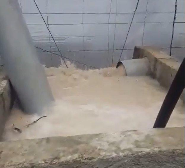 El campo da la bienvenida a las precipitaciones moderadas