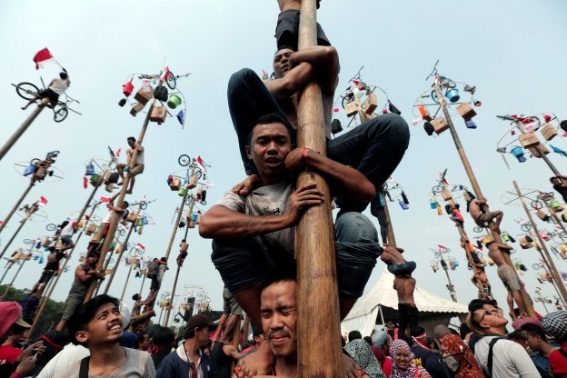 La tradición que asombra al planeta: los premios más extraños por escalar un árbol