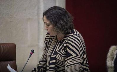 María del Carmen Pérez Rodríguez Ideal