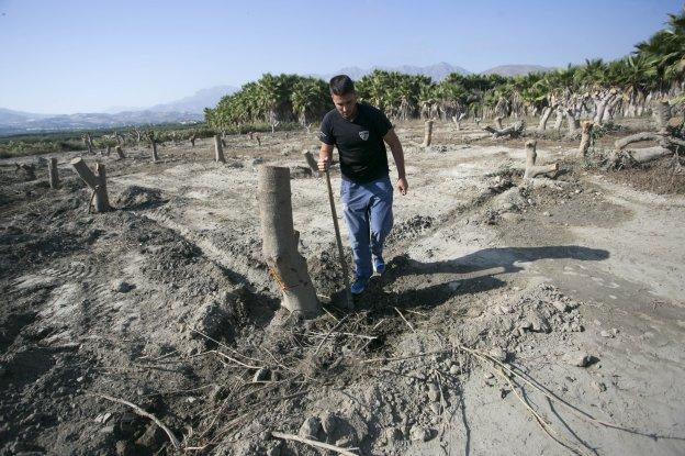 El salvador de los 300 chirimoyos