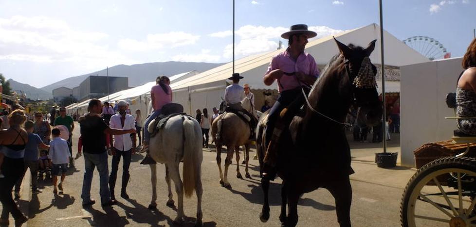 ¿HEMOS PERDIDO O GANADO?