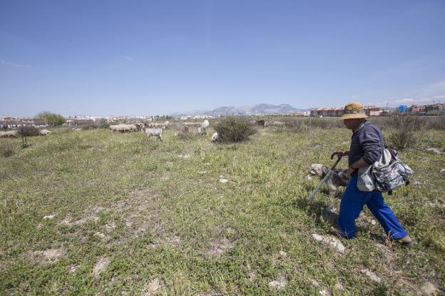 El Ayuntamiento desbloquea parcelas libres ante el interés por volver a construir