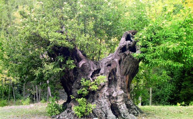 Las 5 rutas con más encanto para disfrutar del otoño en Granada