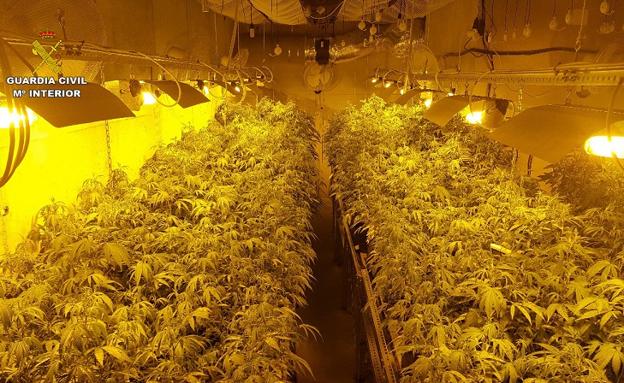 Descubren en Gójar un laboratorio para la obtención de resina de hachís