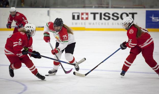 Hungría vence a Polonia en la final del Cuatro Naciones