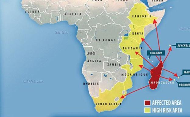 Alerta máxima por un mortal brote de peste: 10 países afectados