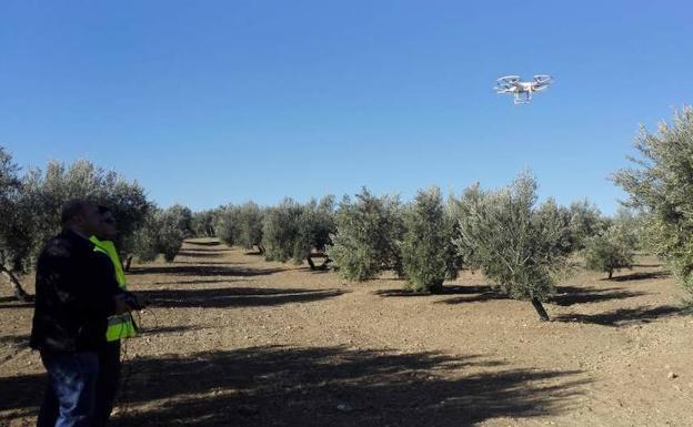 Agricultores se forman para pilotar drones y usarlos en la agricultura de precisión