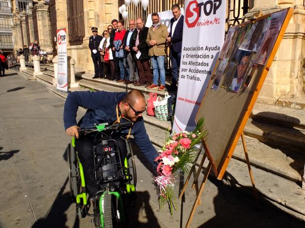 Las víctimas silenciosas de la carretera