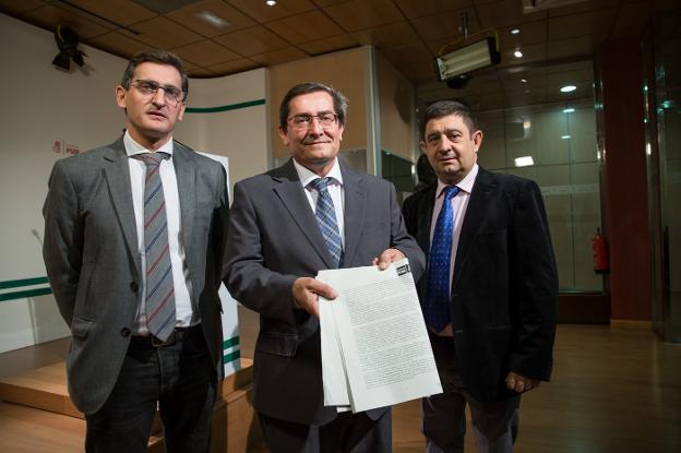 La falta de capacidad eléctrica desactiva 11 proyectos de renovables