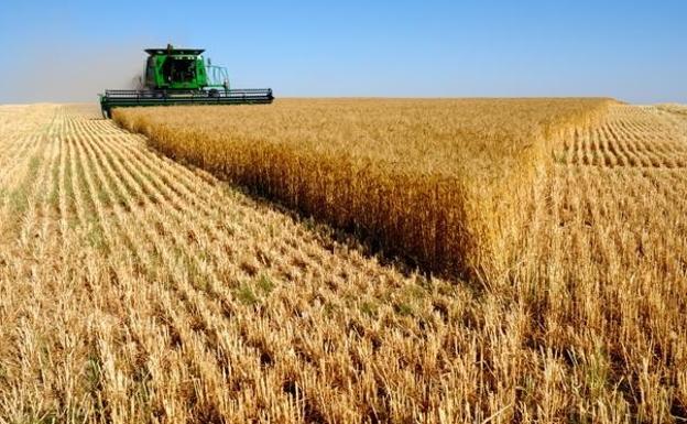 Advierten contra los alimentos que más dañan la salud del planeta