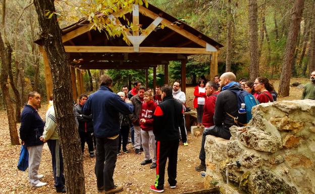 Voluntarios de Aprompsi colaboran en reforestar un paraje de Villanueva del Arzobispo
