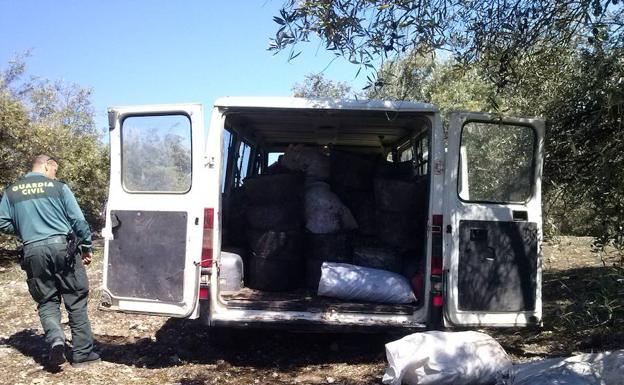 'Cazado' en Torredonjimeno robando 2.500 kilos de aceitunas