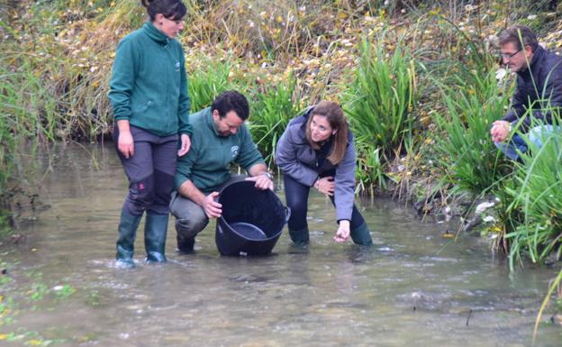 La Junta impulsa la recuperación del cangrejo autóctono de río en el Darro