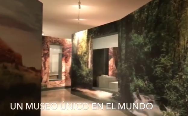 Revelan detalles de lo que se podrá ver en el Museo Íbero