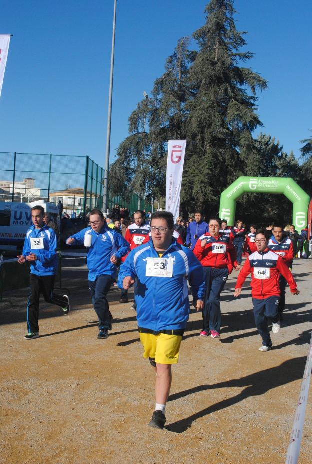 Zancadas para la plena inclusión