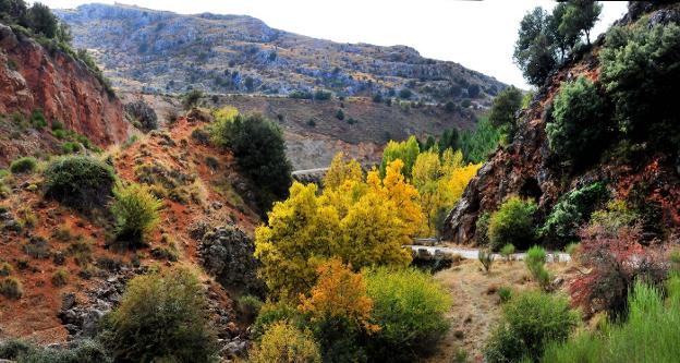 10 bosques para 'perderte' en otoño