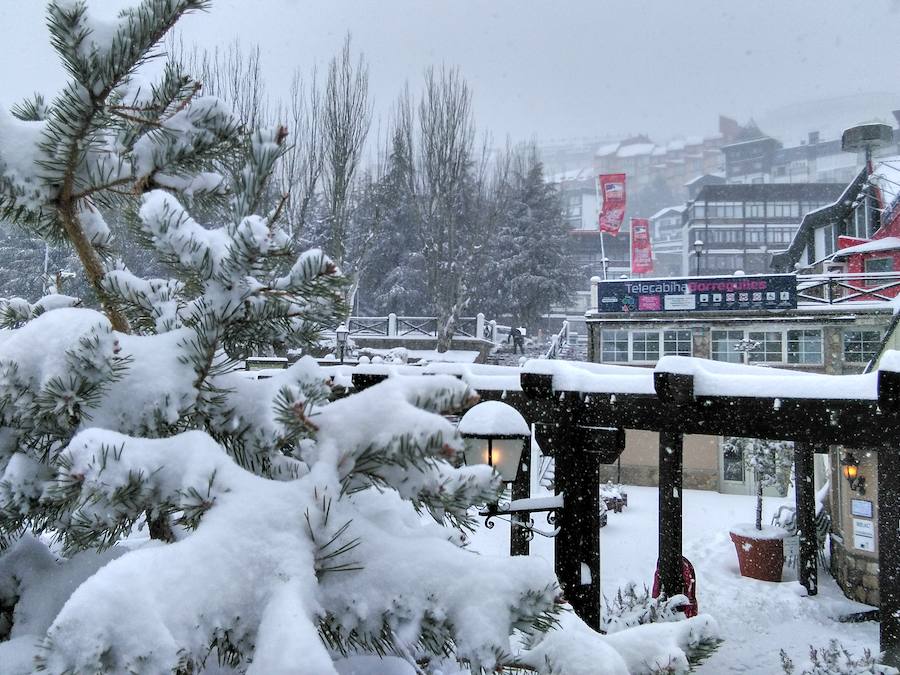 Sierra Nevada, cerrada por el temporal de viento