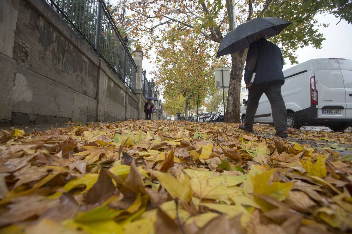 Granada vivió un 11 de diciembre lluvioso