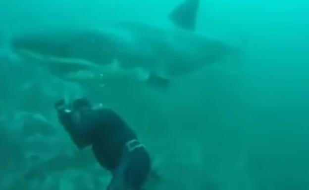 Se salva por los pelos de que un tiburón le arranque la cabeza