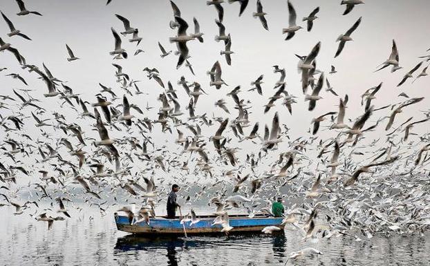 Una 'cámara de gas' al aire libre