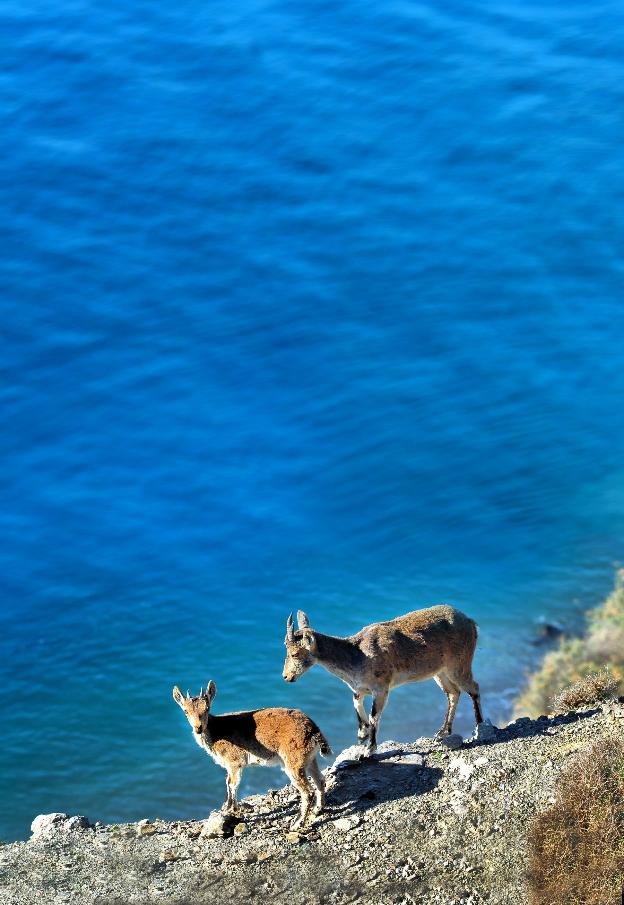 En busca del mar