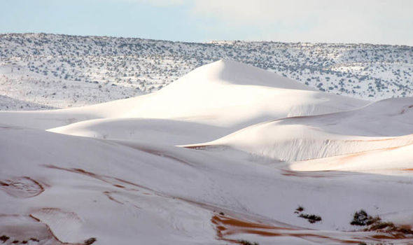 Las espectaculares fotos del Sahara nevado
