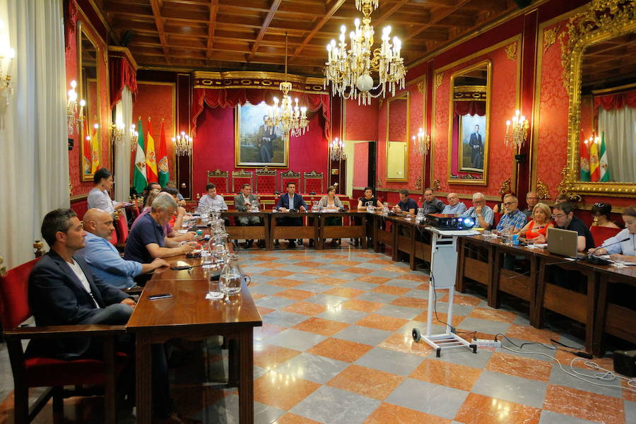 La Mesa del Ferrocarril se moviliza contra aislamiento ferroviario de Granada