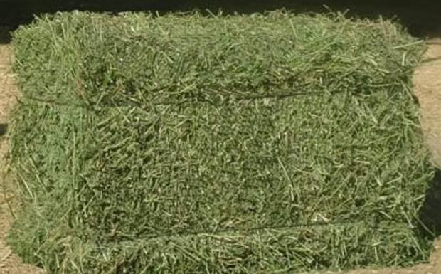 Muere una mujer de 86 años al caerle encima un fardo de hierba de 500 kilos