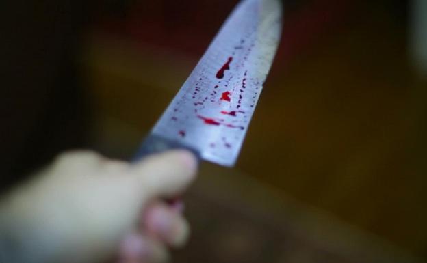 Una niña de 12 años apuñala al novio de su madre cuando él le puso un cuchillo en el cuello