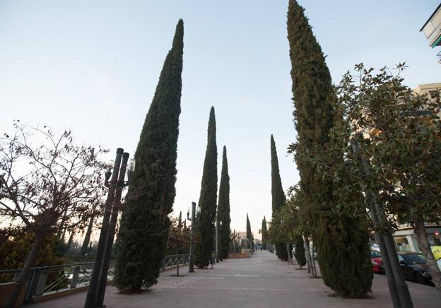 Granada, la ciudad de las alergias