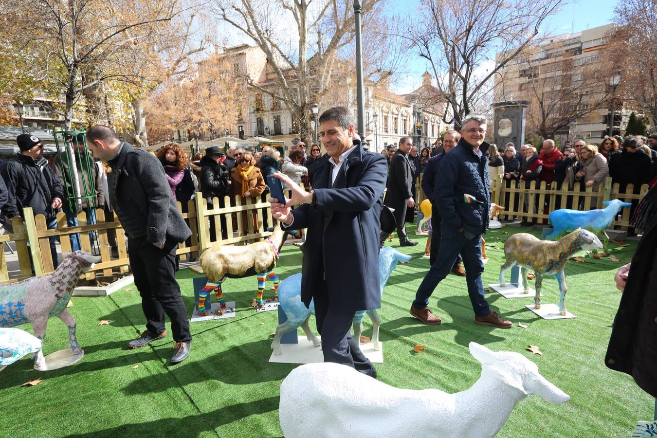 Exposición de corderos en Puerta Real