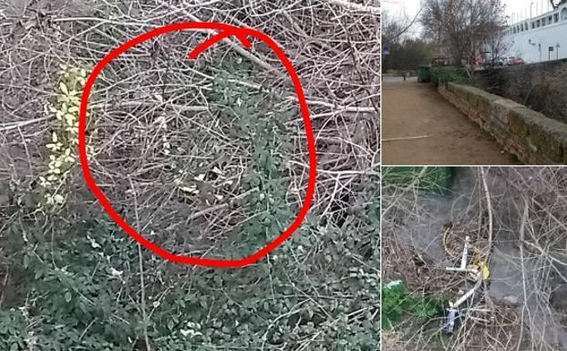 La triste imagen en el Darro: 'el cadáver' de una bici de alquiler en Granada